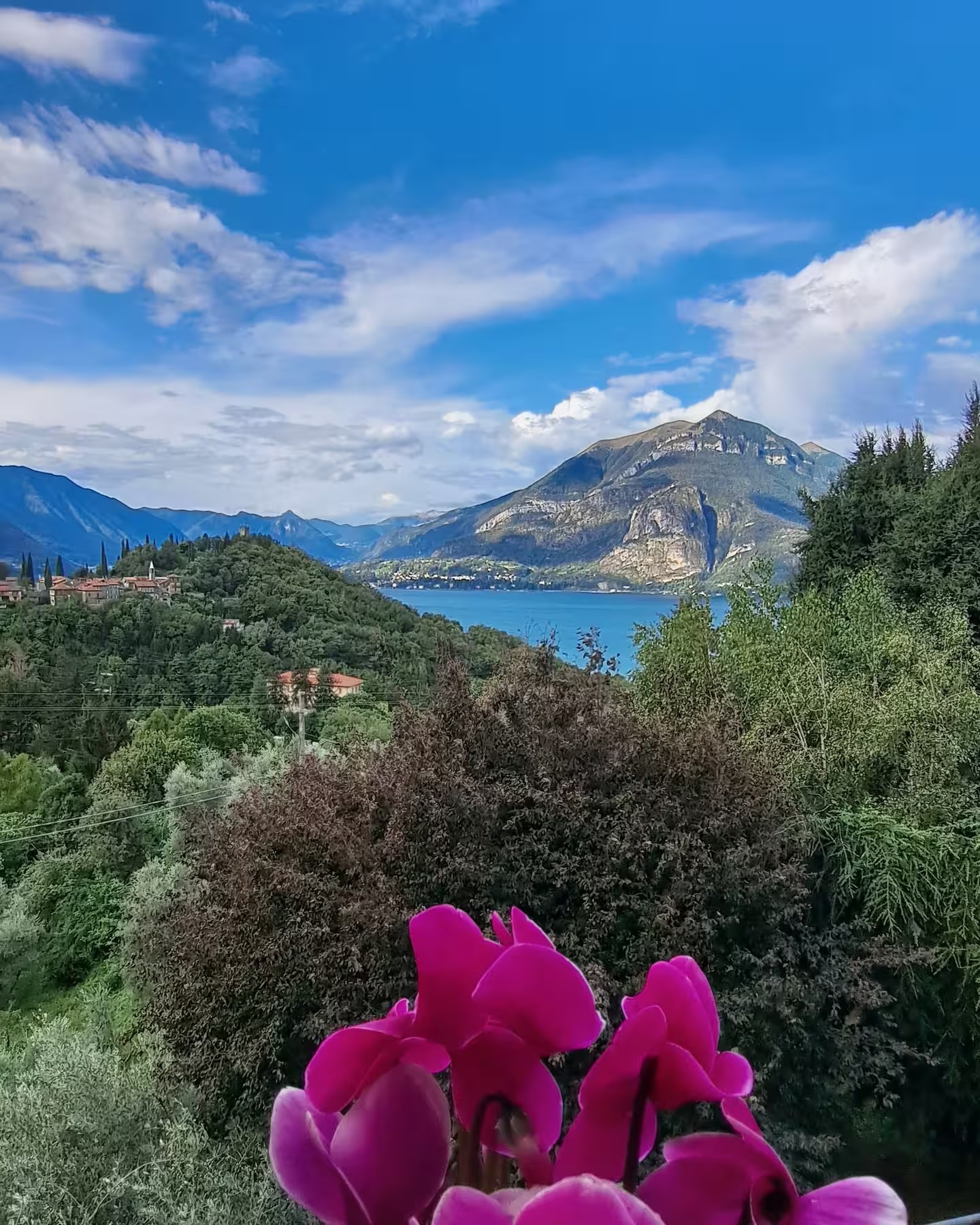 Pink cyclamen blooms on the balcony with Lake Como and the mountains beyond